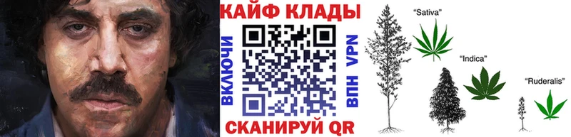 Виды наркоты Алапаевск Гашиш  Амфетамин  Кокаин  МЕФ  Бошки Шишки  A-PVP 