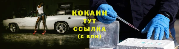 гидра Михайловск
