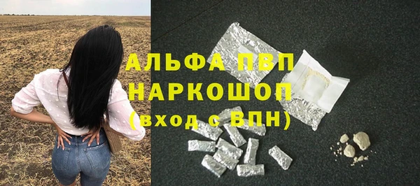 ешки Анжеро-Судженск