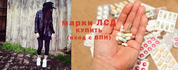 стафф Надым