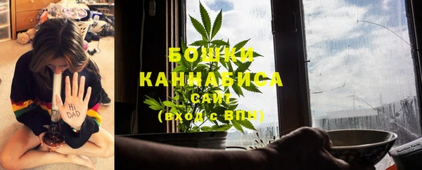 стафф Надым