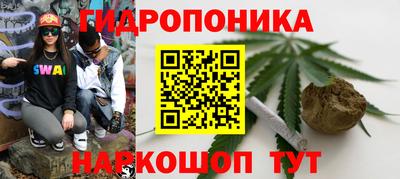 кокс Гай