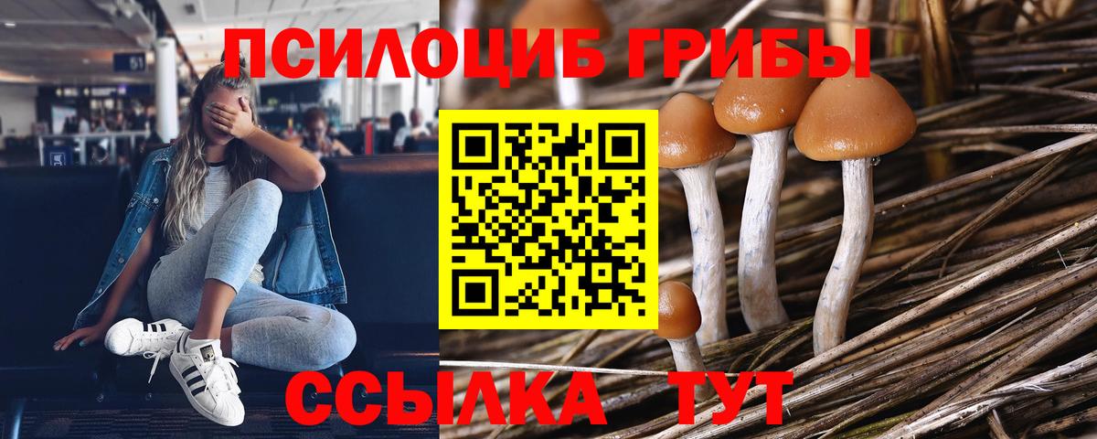 Галлюциногенные грибы ЛСД Алапаевск