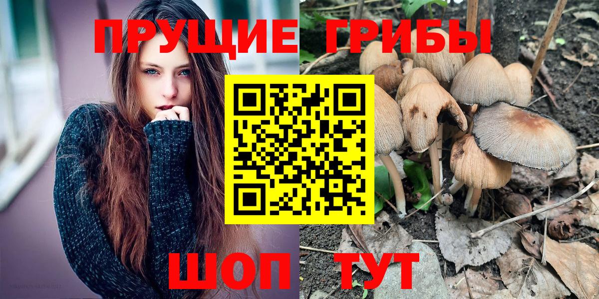Алапаевск  Галлюциногенные грибы Psilocybe  Вход с VPN 